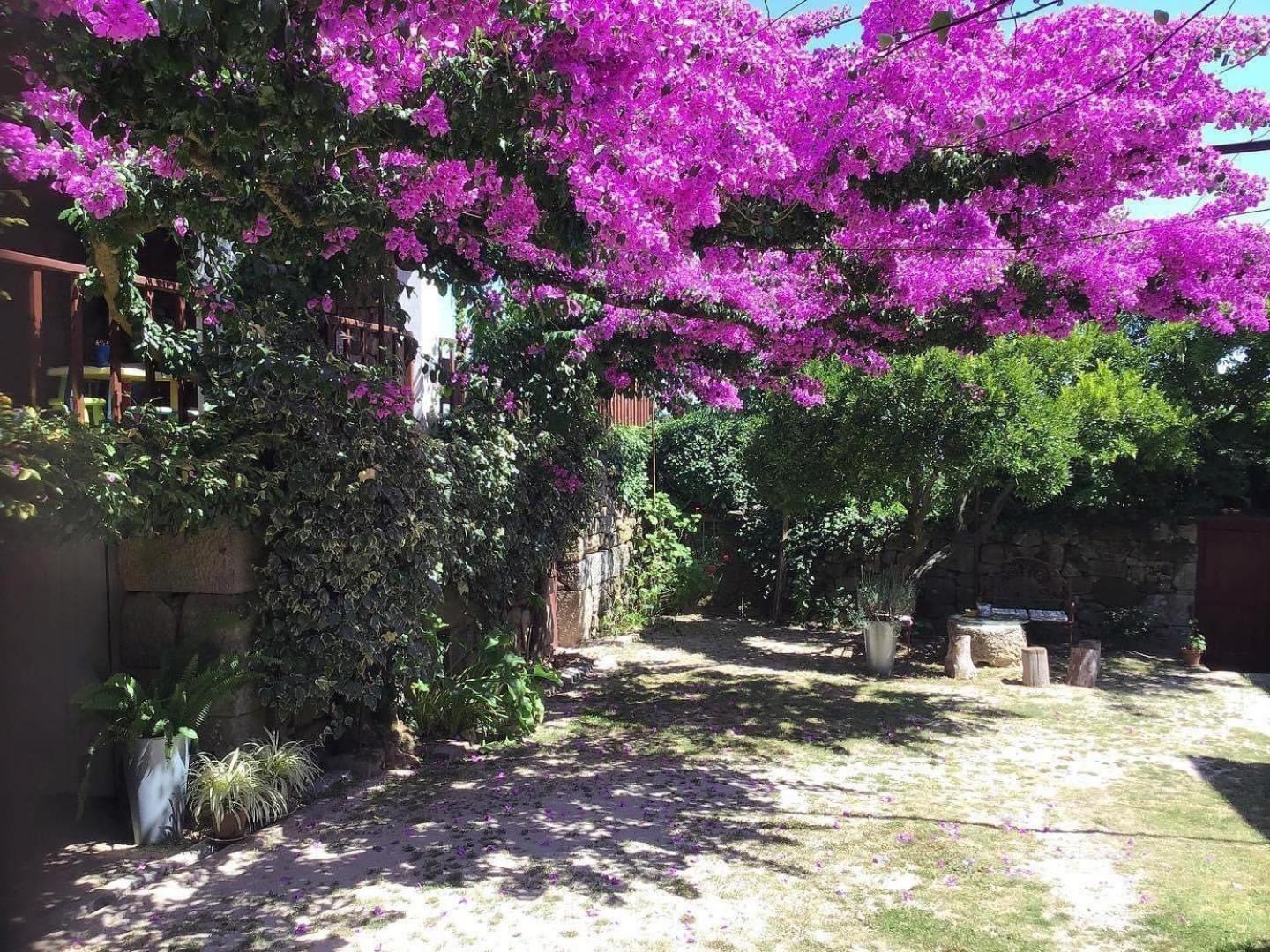 Casa De Cerqueda Celorico De Basto Exterior foto